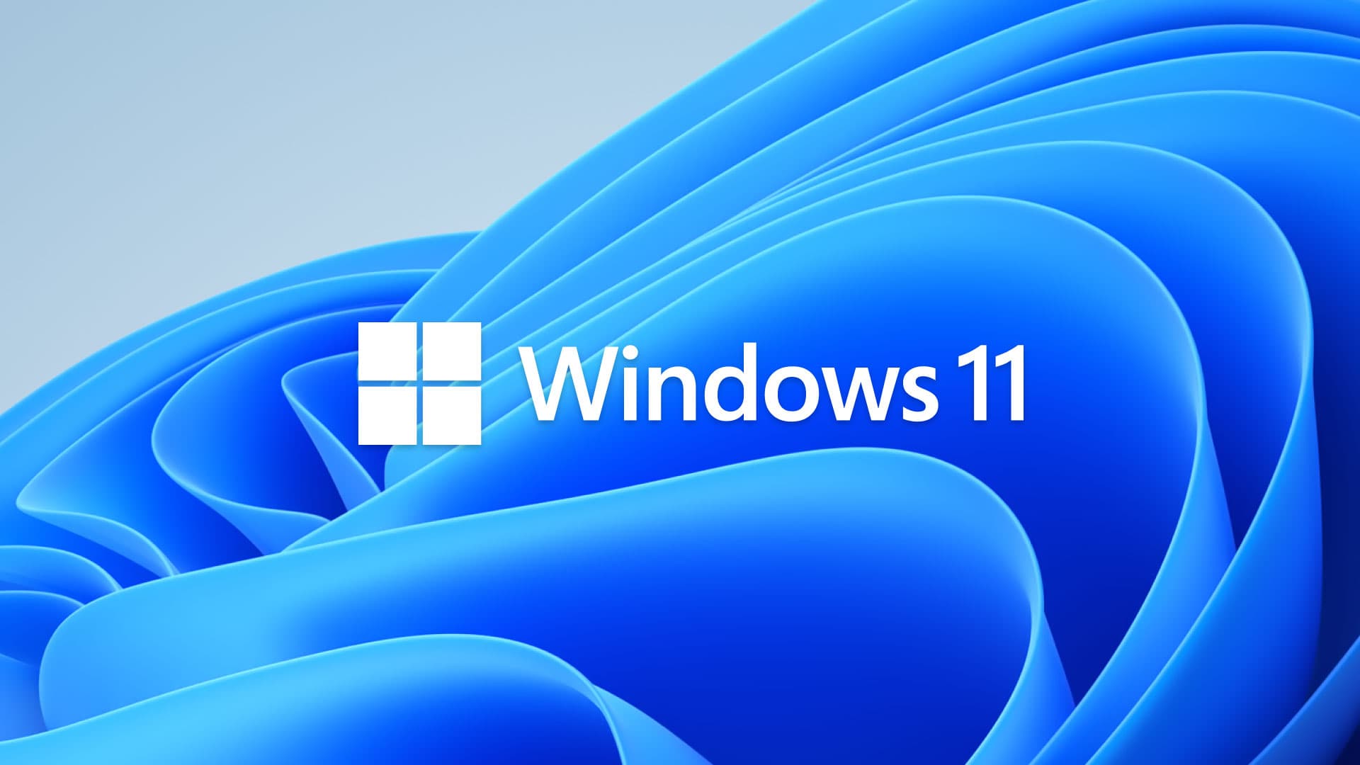 Microsoft Windows 11 Professional 64BIT DSP 1PK Italiano OEM Only Sticker