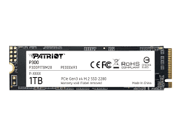 Patriot Solid State Drive SSD P300 1TB M.2 NVME P300P1TBM28 — miniatura 5